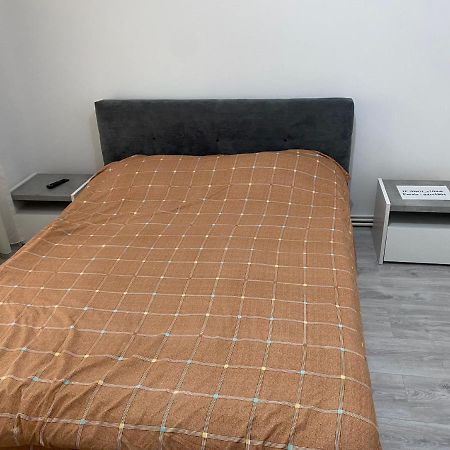 Alesandru Apartament ピテシュティ エクステリア 写真