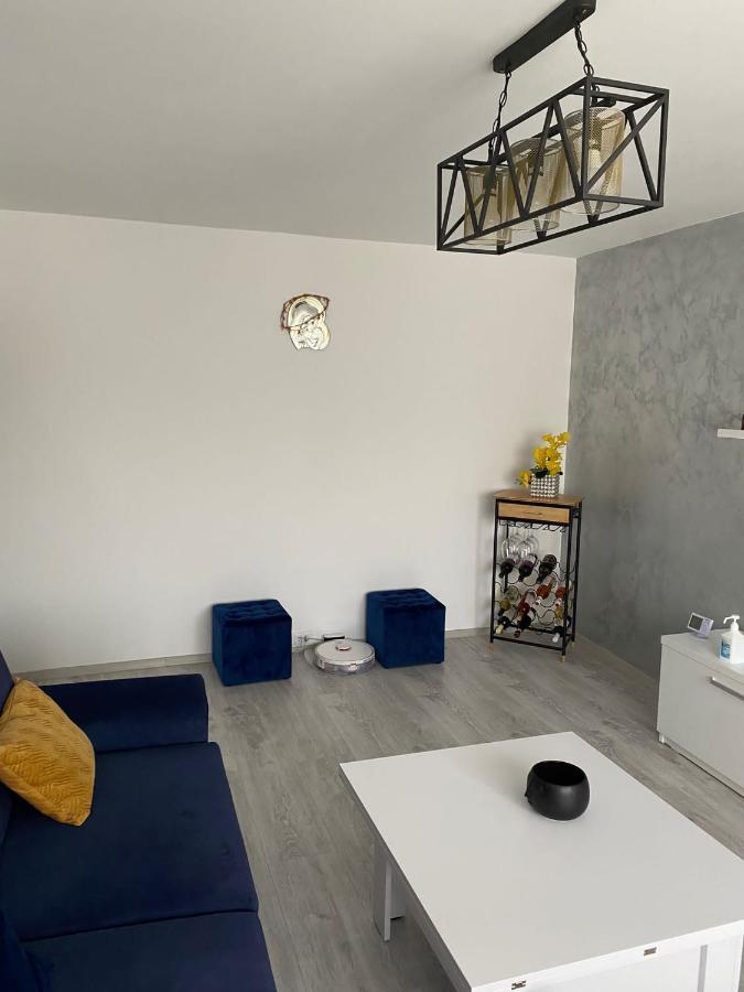 Alesandru Apartament ピテシュティ エクステリア 写真