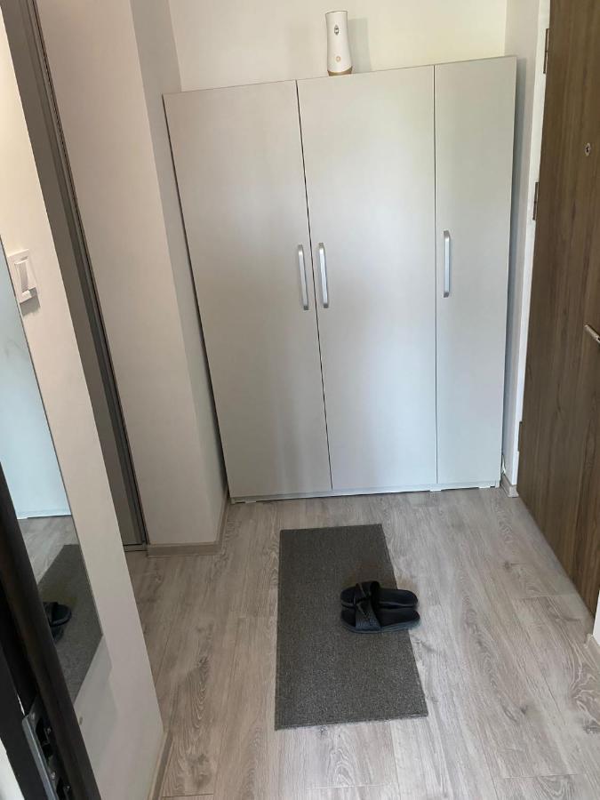 Alesandru Apartament ピテシュティ エクステリア 写真