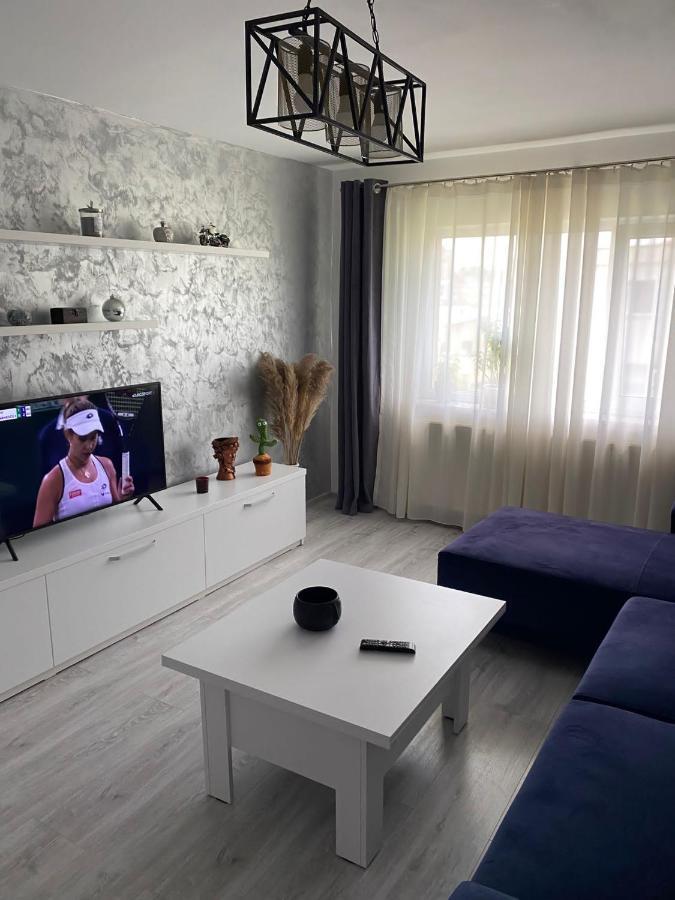 Alesandru Apartament ピテシュティ エクステリア 写真
