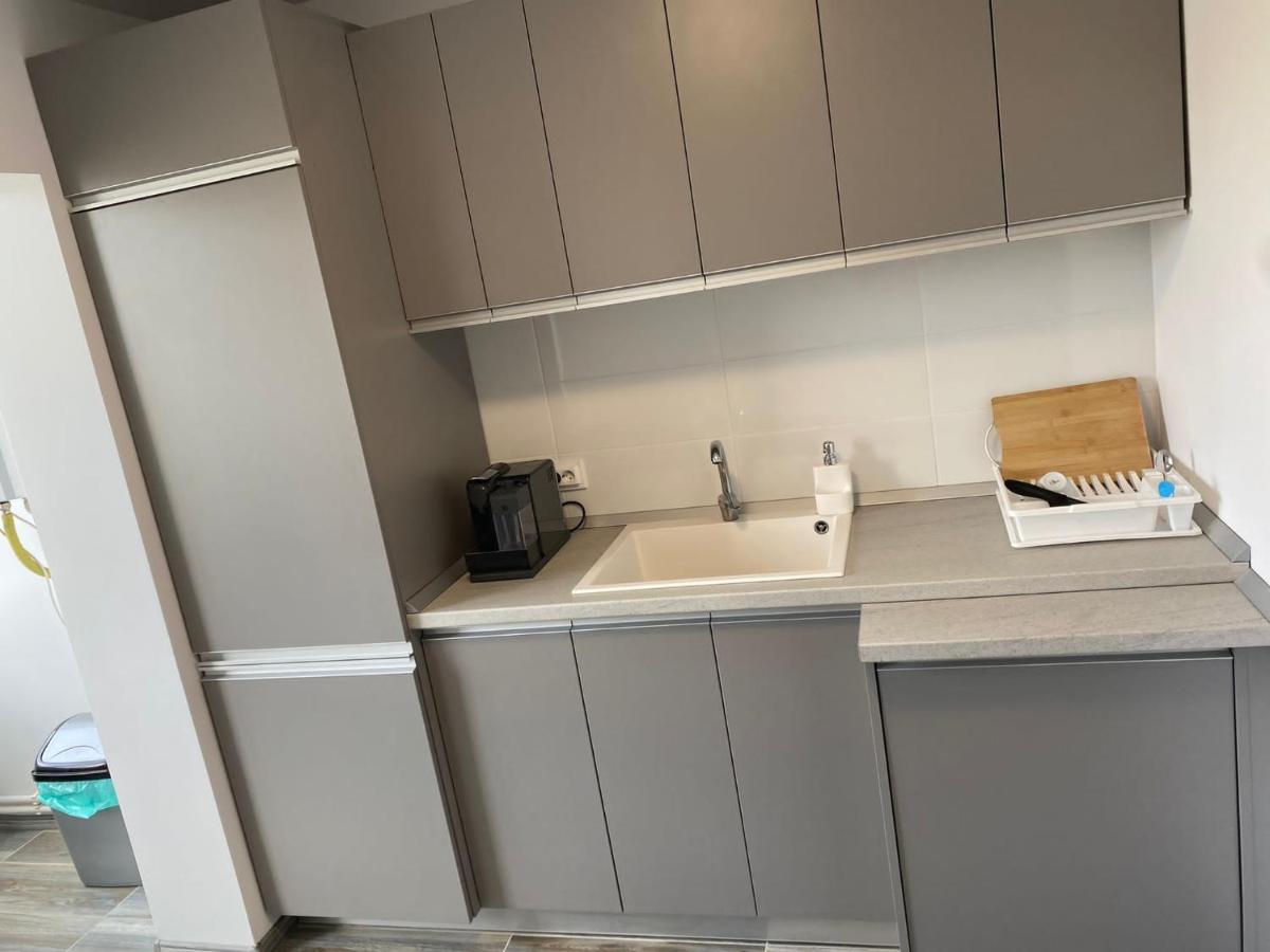 Alesandru Apartament ピテシュティ エクステリア 写真