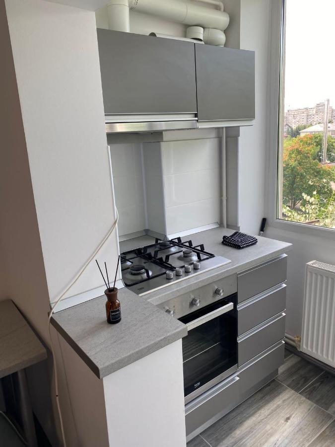 Alesandru Apartament ピテシュティ エクステリア 写真